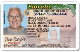 Florida Sample Drivers License