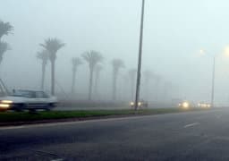 Cars driving on foggy Tampa roadway
