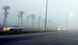 Cars driving on foggy Tampa roadway