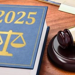 New Florida Laws in 2025 that took effect on January 1st