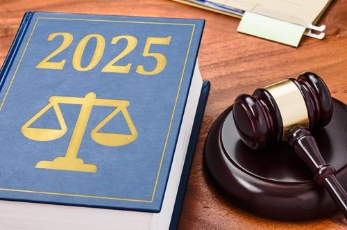 New Florida Laws in 2025 that took effect on January 1st