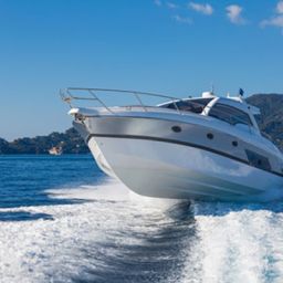 Lucy's Law to enhance boating safety is passed by Florida Legislature