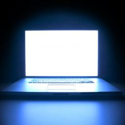 AI IN FLORIDA LAW: HOW COURTS AND FIRMS USE AI AI in Florida Law: How Courts and Firms use AI