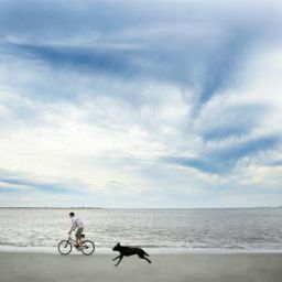 TRAFFIC STOP LEADS TO FEDERAL TIME OF 15 TO LIFE Traffic stop leads to federal time of 15 to life