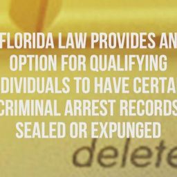 DONT LET A PAST CASE CONTROL YOUR FUTURE Seal and Expunge Your Record in Florida